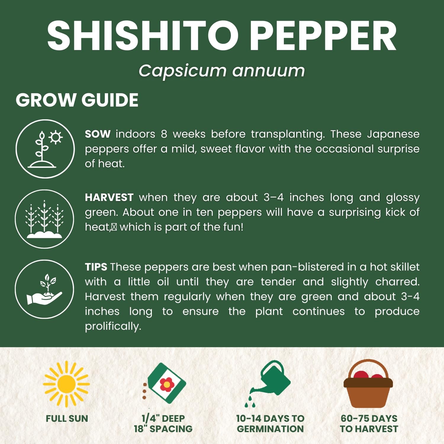 Shishito Pepper – 60 Premium Seeds for Planting – Sweet, Savory, HighYielding…