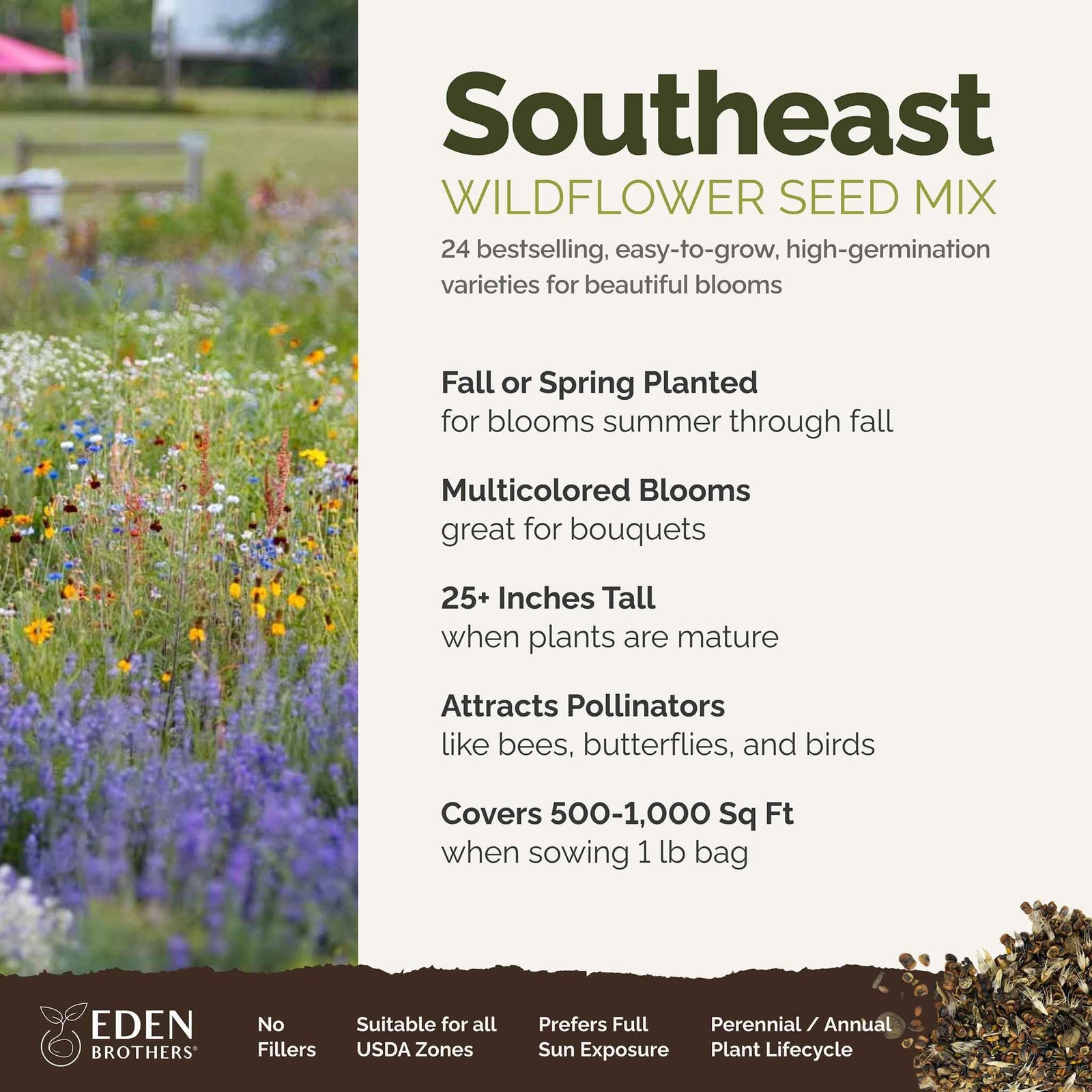 Southeast Wildflower Seed Mix, 1 lb, Attracts Pollinators, Zones 310