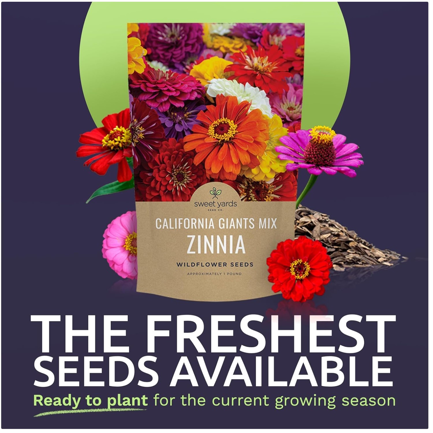 California Giants Zinnia Seeds – 1lb Bag – 48k Flowers