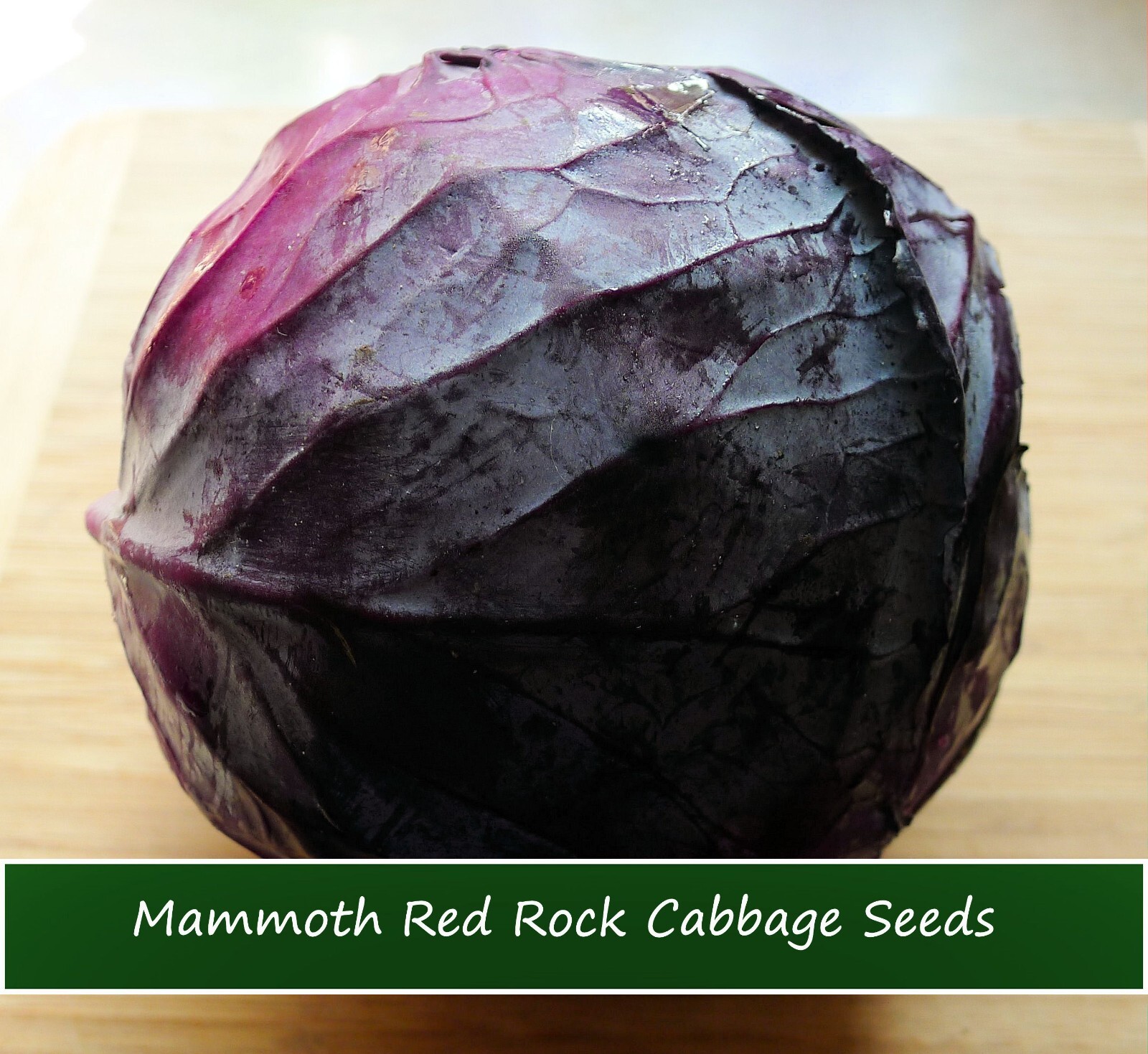 Vegetable Seeds- Cabbage-Mammoth Red Rock Cabbage -100 Seeds -Heirloom