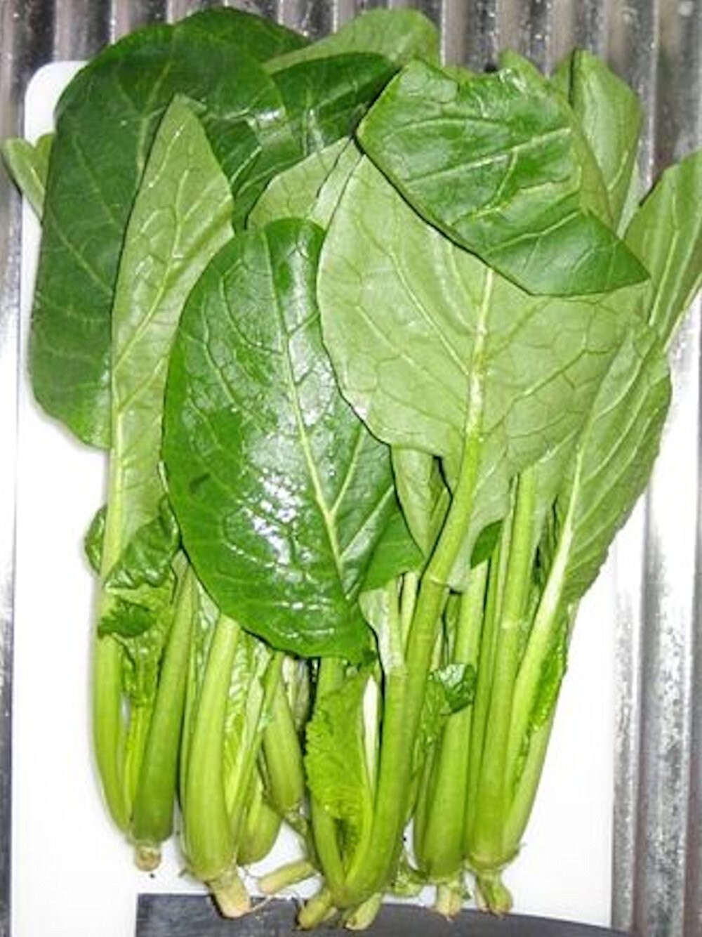 2000 Komatsuna Seeds, Japanese Green, Spinach Mustard, NON-GMO, FREE SHIPPING