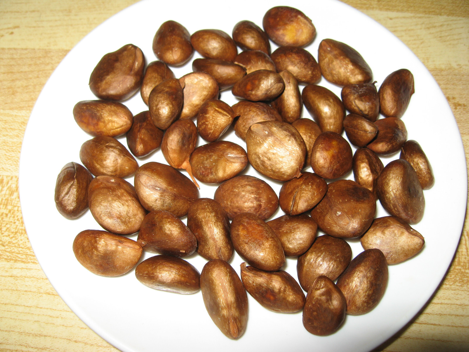 Pk of 20 Loquat seeds for planting. Tangy, sweet & delicious! FLAT SHIPPING READ