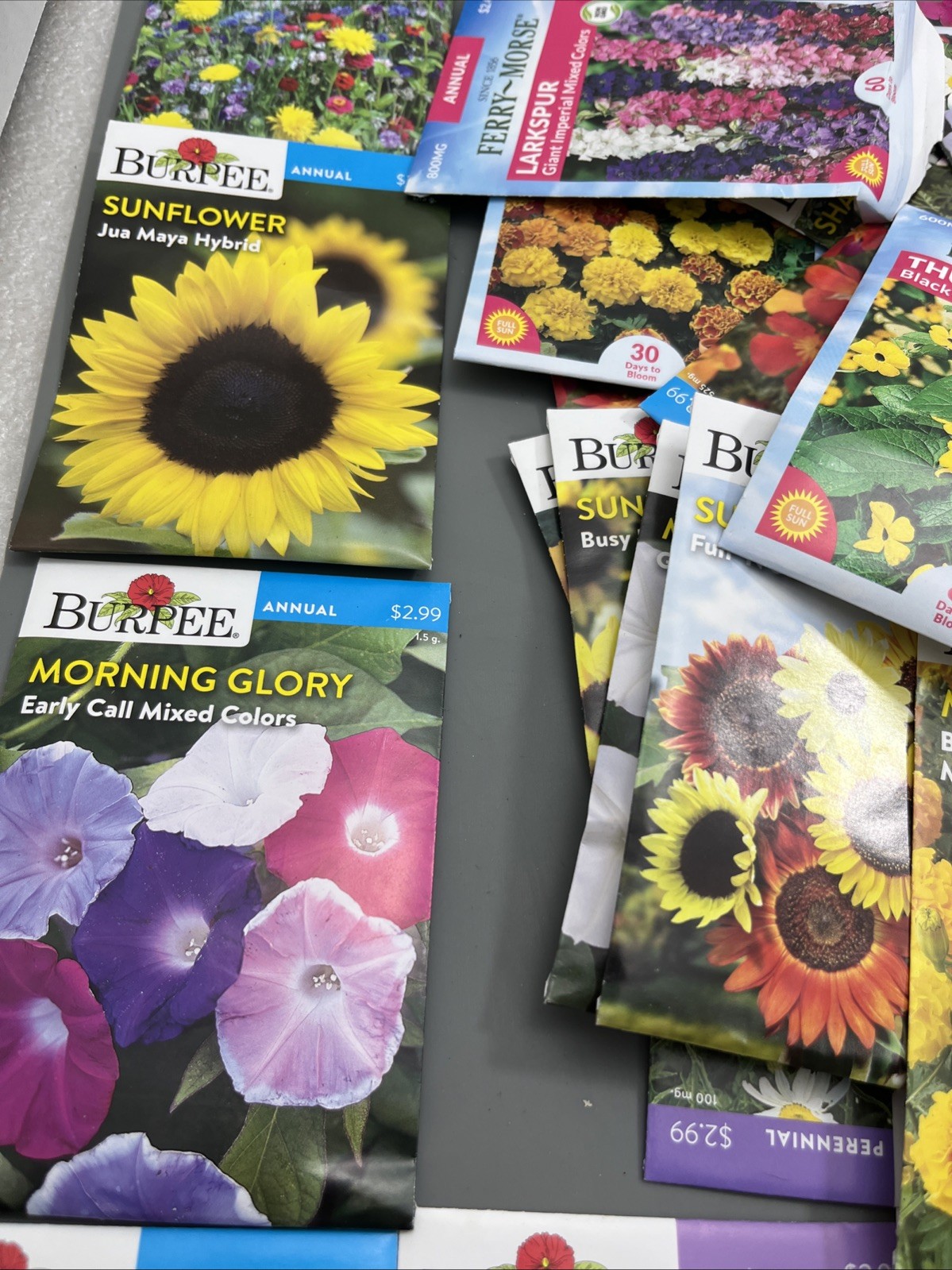 Flowers &Vegetable Plant Seeds (Assorted Lot of 100) sell by 11/26 Garden