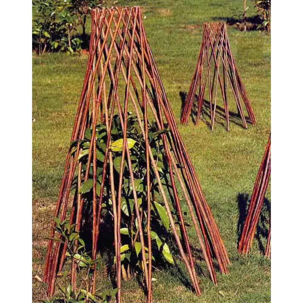 36 In. H Willow round Tepee Trellis