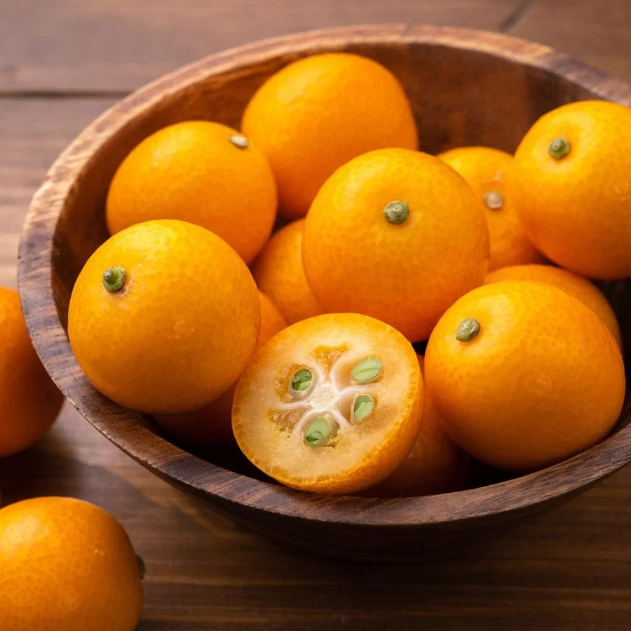5 SUPER DOUBLE RARE Fukushu Kumquat seeds Organic