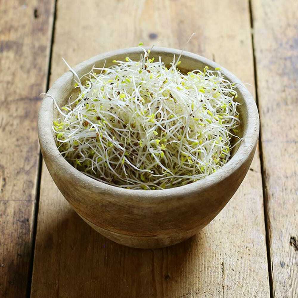 ORGANIC ALFALFA SPROUTING SEED grown in US 4oz 50,000 seed US Veteran seller