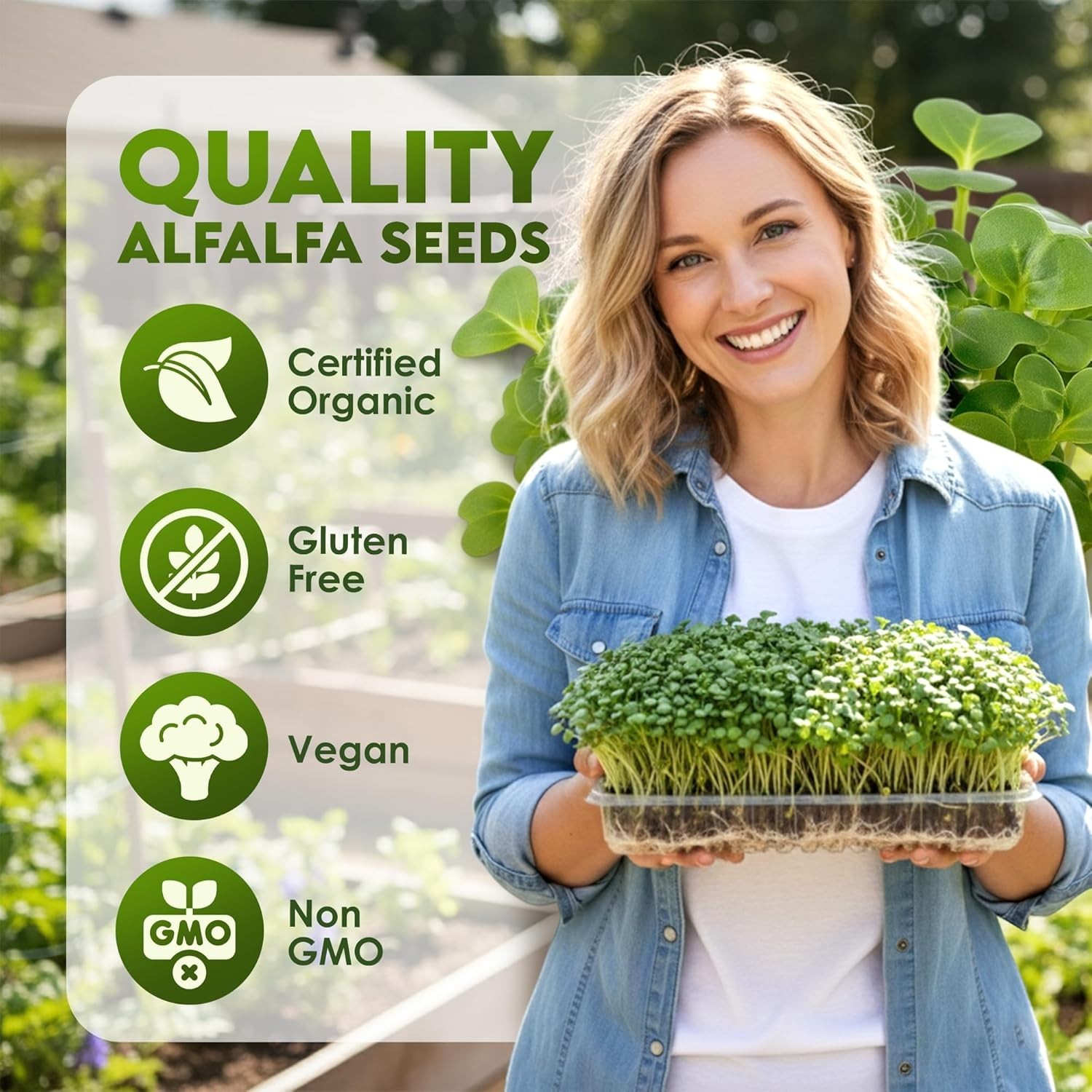 Nutritious Alfalfa Seed for Planting – Resealable Bag