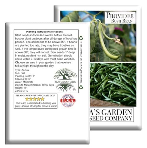Provider Bush Green Bean Seeds (Phaseolus vulgaris) – 30+ Non-GMO Heirloom by