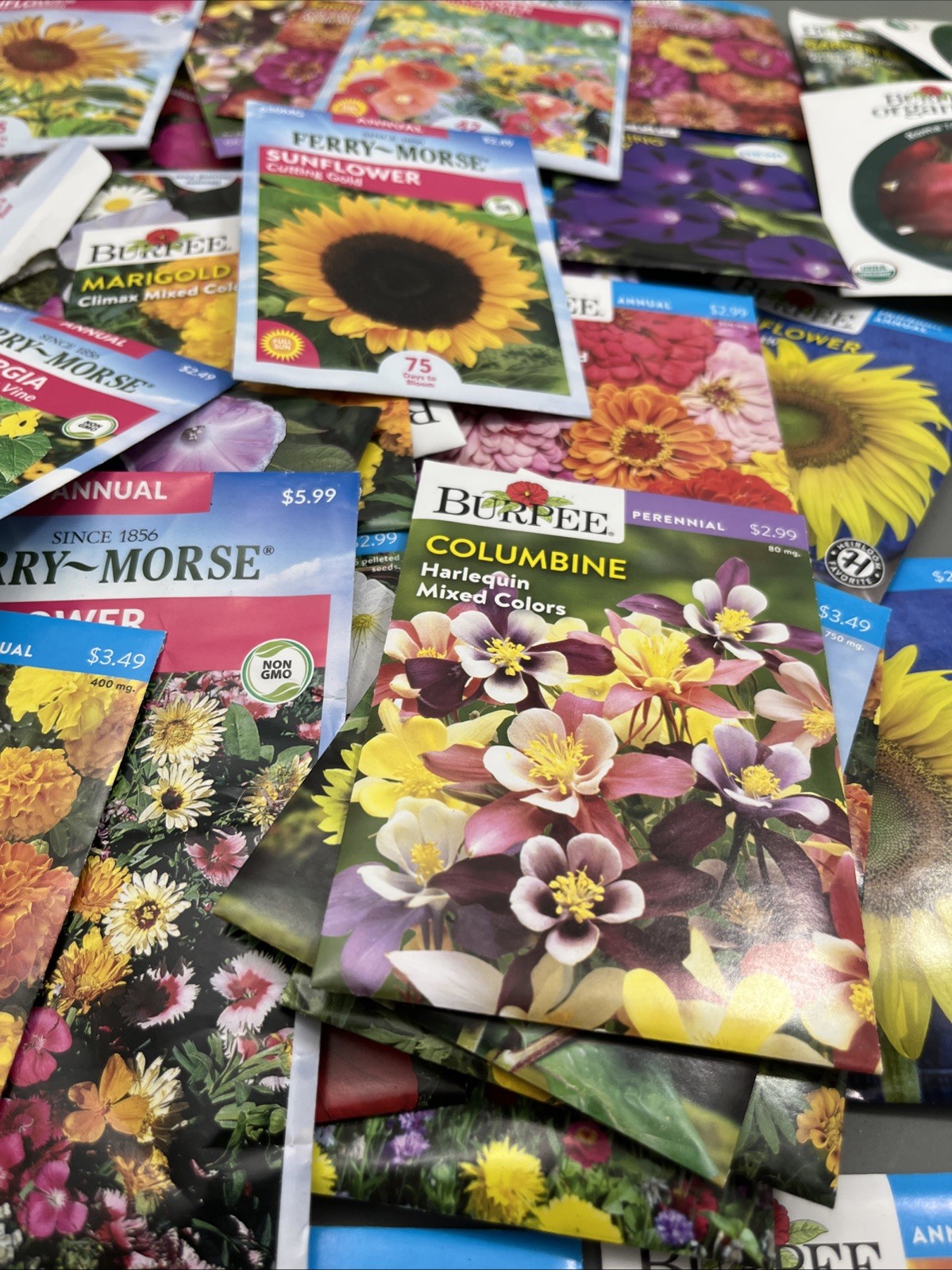 Flowers &Vegetable Plant Seeds (Assorted Lot of 100) sell by 11/26 Garden