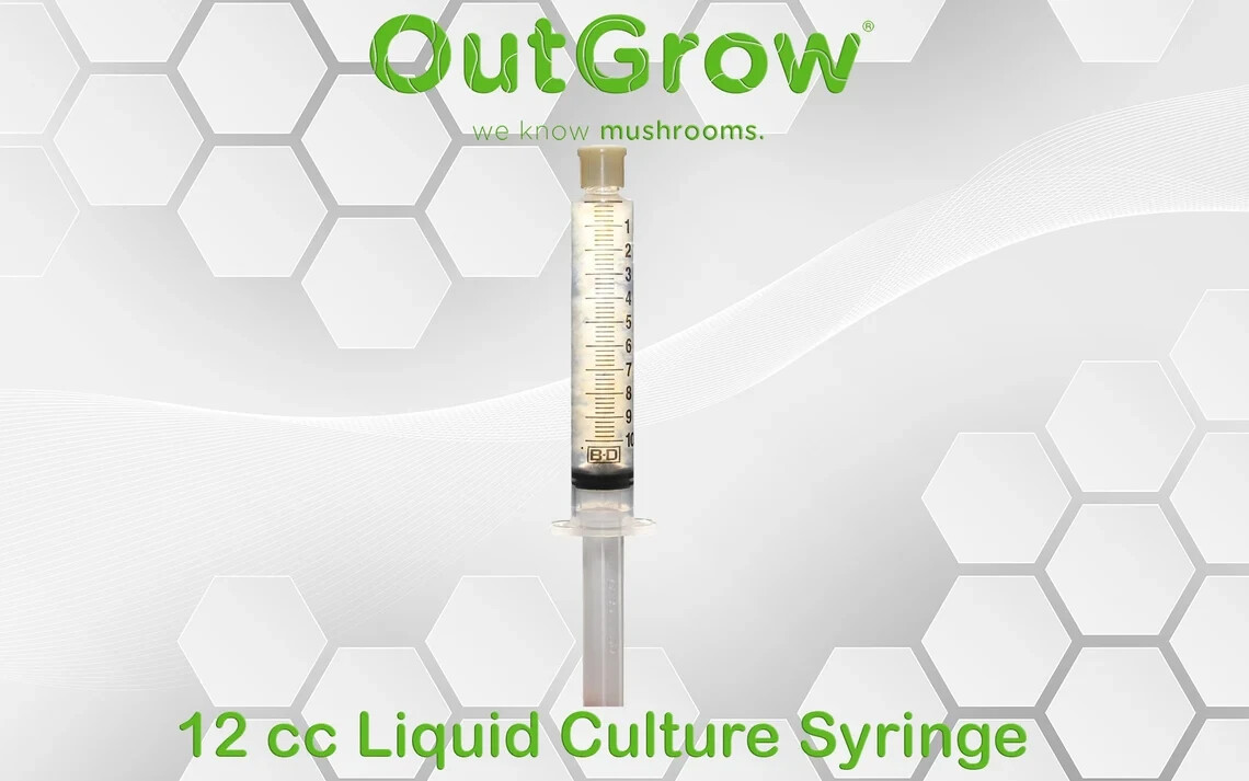 Snow fungus (Tremella fuciformis) Liquid Culture
