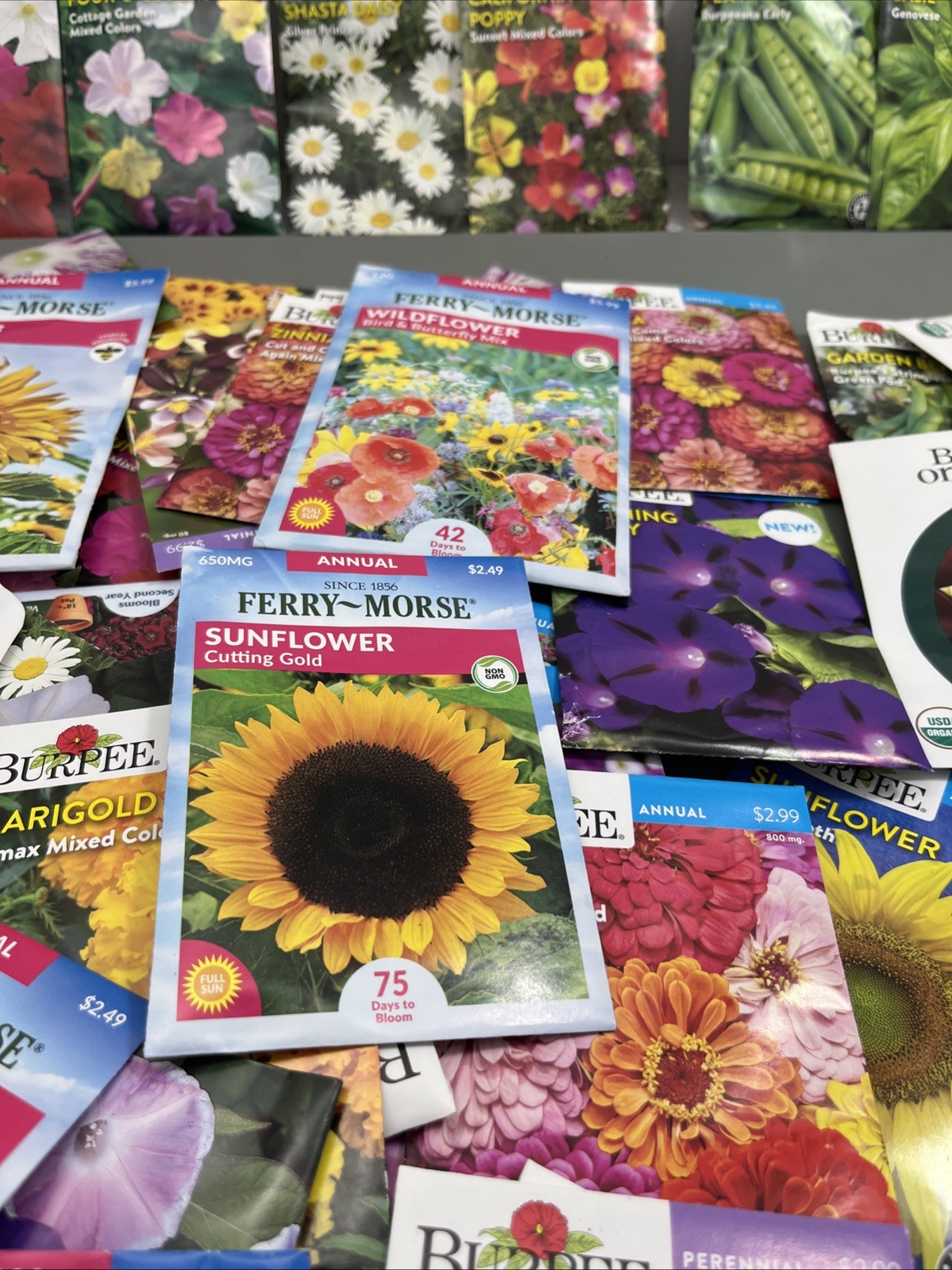 Flowers &Vegetable Plant Seeds (Assorted Lot of 100) sell by 11/26 Garden