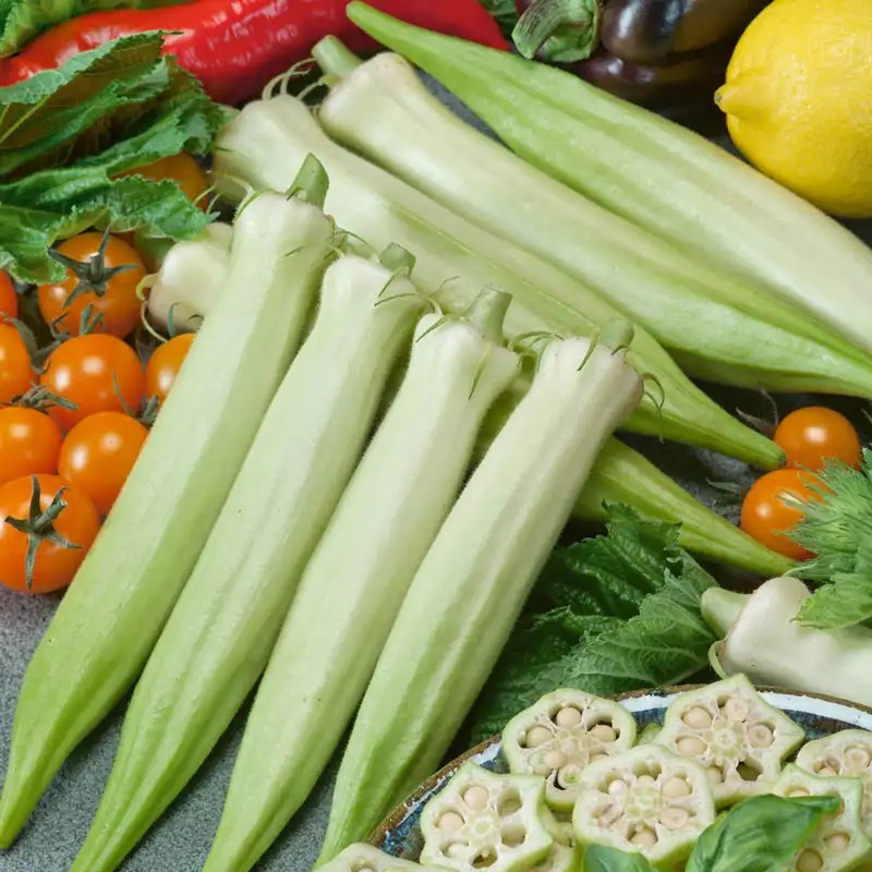 50+ BLONDY OKRA SEEDS — AAS WINNER — RARE