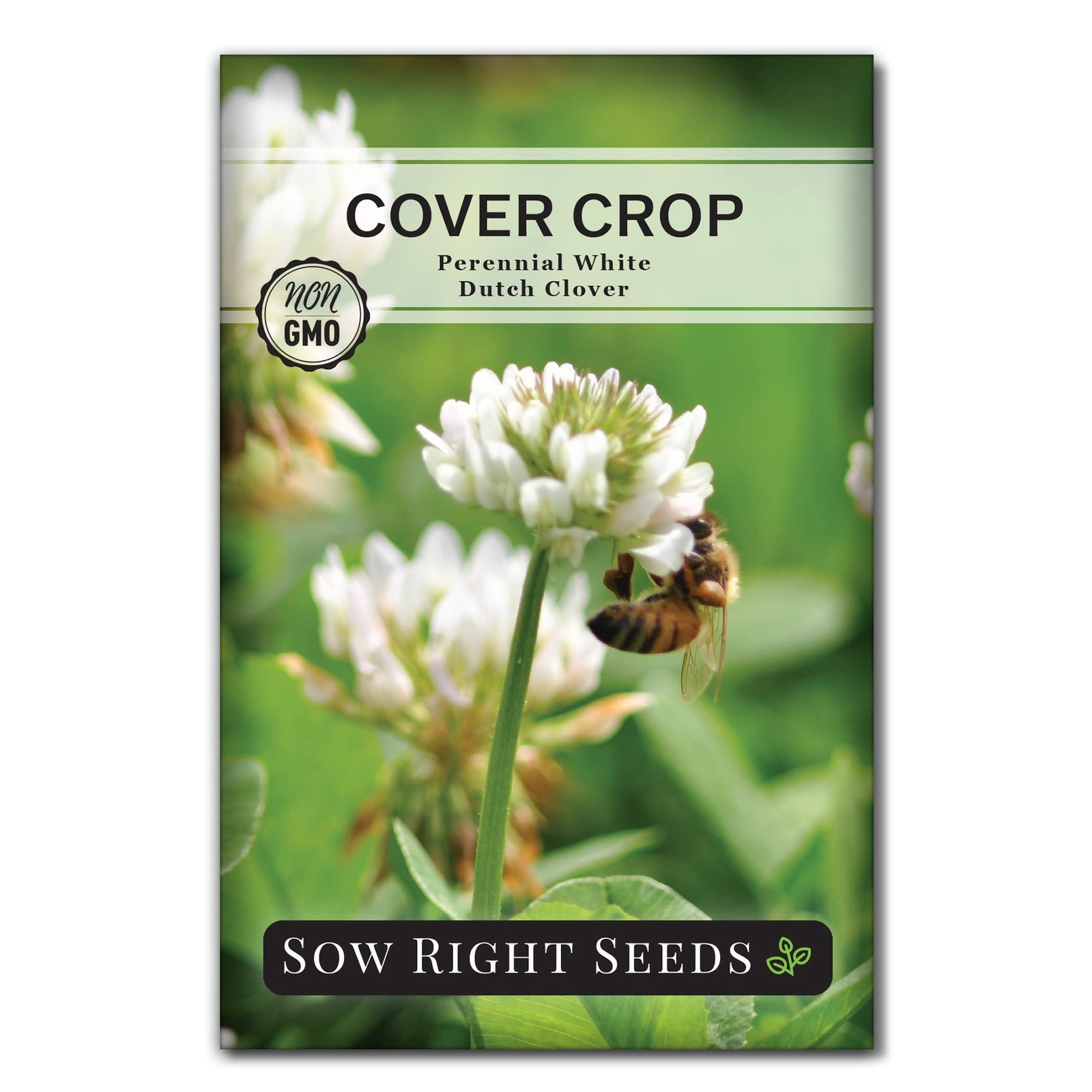 White Dutch Clover Seed Cover Crop Nitrogen Fixer Attracts Pollinators