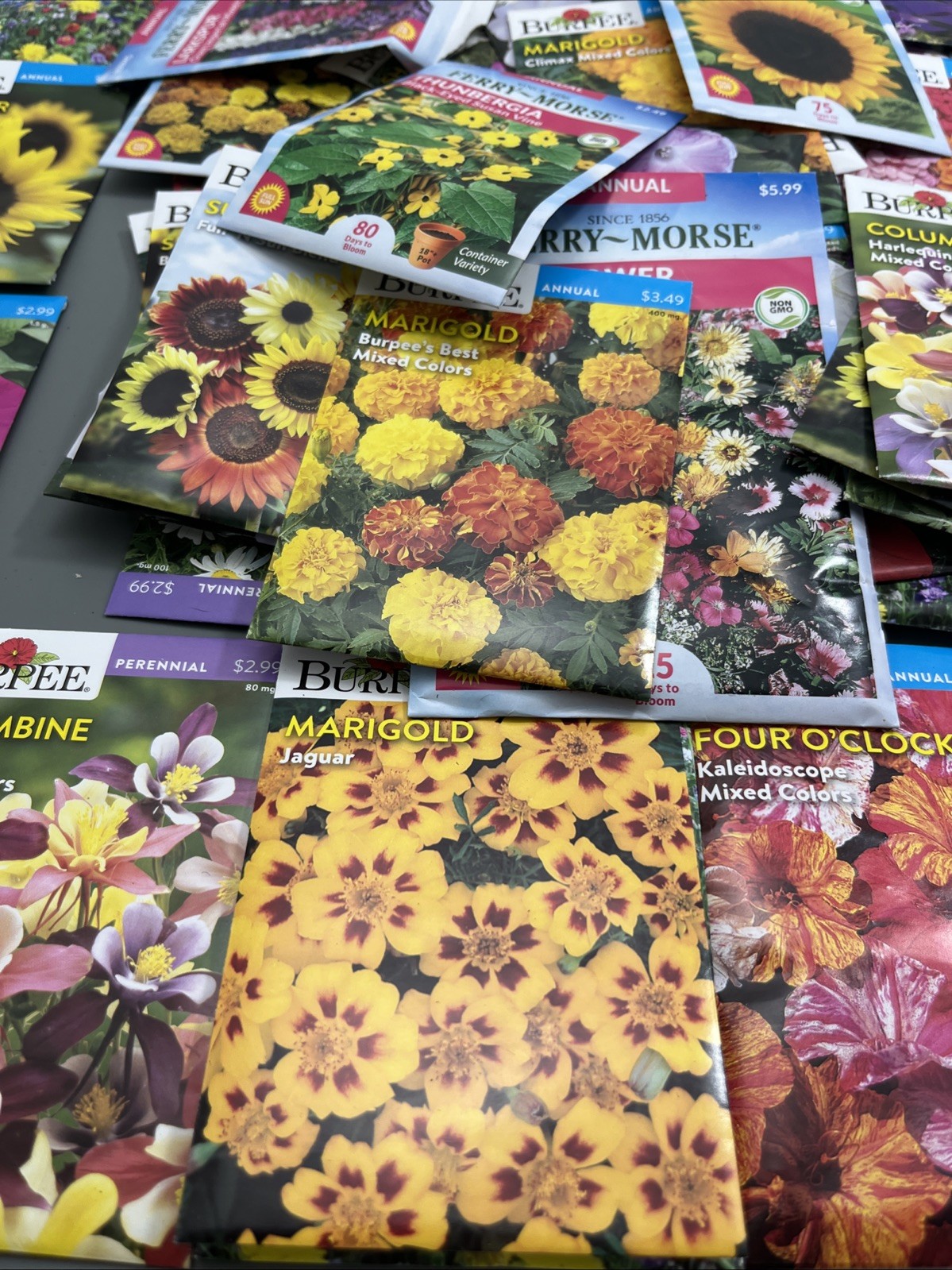 Flowers &Vegetable Plant Seeds (Assorted Lot of 100) sell by 11/26 Garden