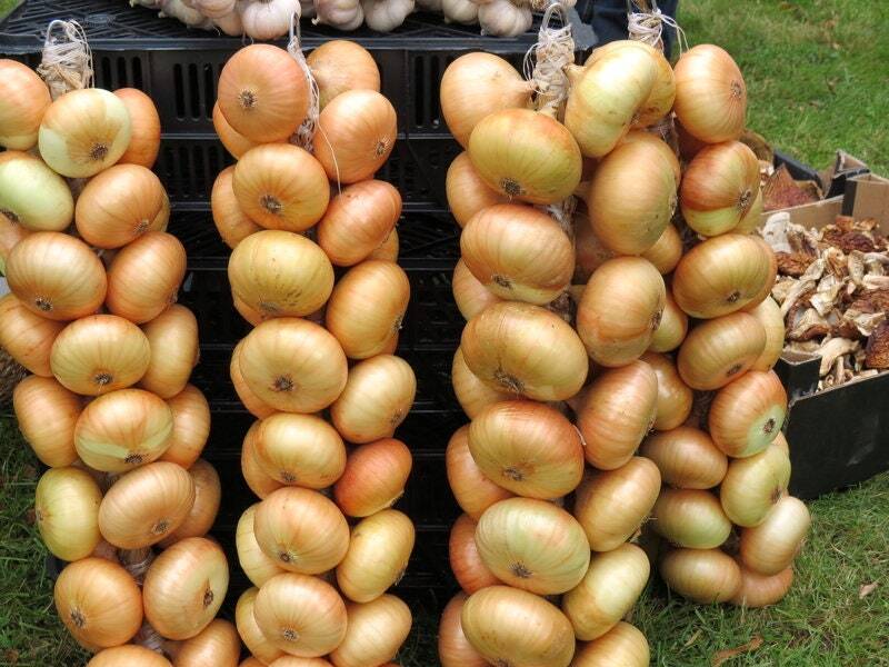 Borettana Onion Seeds