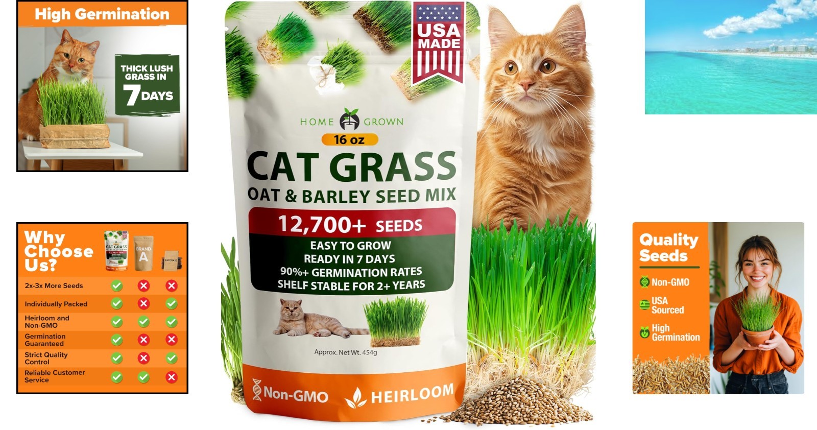 Pet-Friendly 1lb Heirloom Cat Grass – -Round Nutrition for Cats & Small Pets