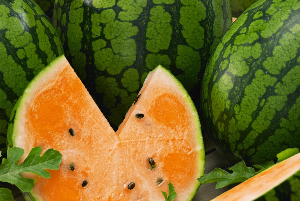 25 TENDERSWEET ORANGE WATERMELON SEEDS FRESH HARVEST FOR 2024 GARDENS