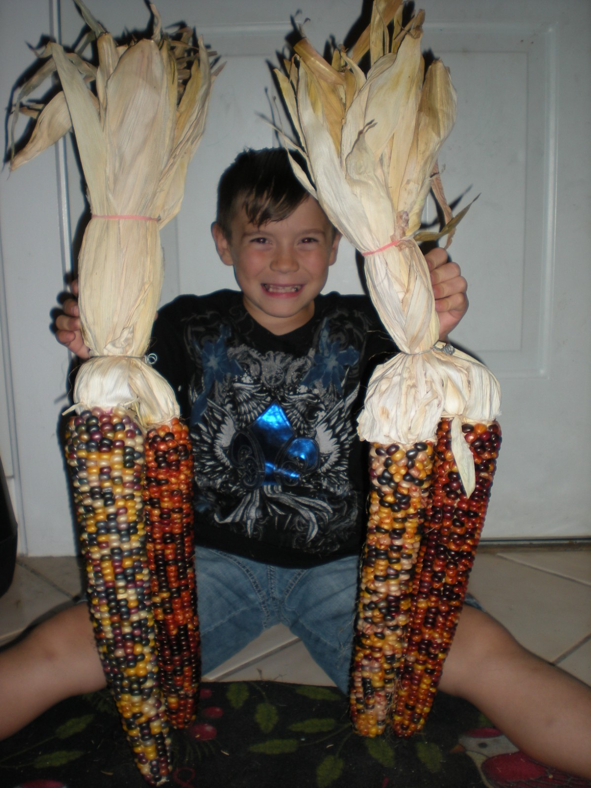 W. Largest Indian Corn- 20 Seeds – Massive Ears! Comb S/H