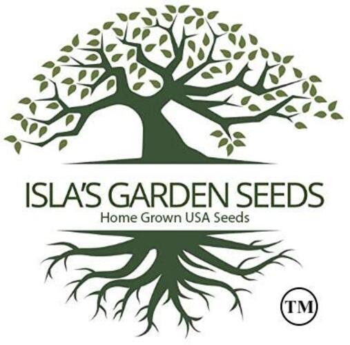 Provider Bush Green Bean Seeds (Phaseolus vulgaris) – 30+ Non-GMO Heirloom by