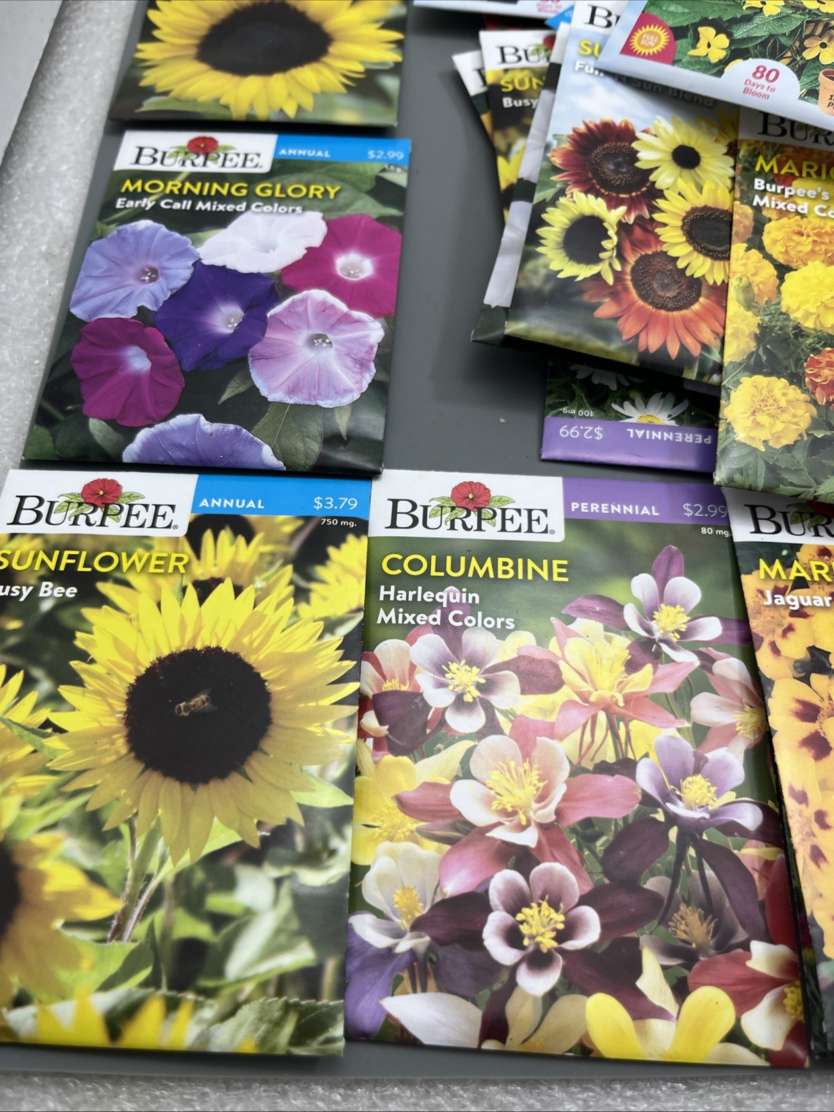 Flowers &Vegetable Plant Seeds (Assorted Lot of 100) sell by 11/26 Garden