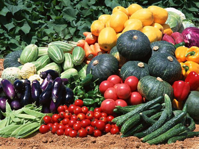 Prepper/Garden /Survival Seed Cache 55,000 Seed 126 Heirloom Varieties HERB PACK