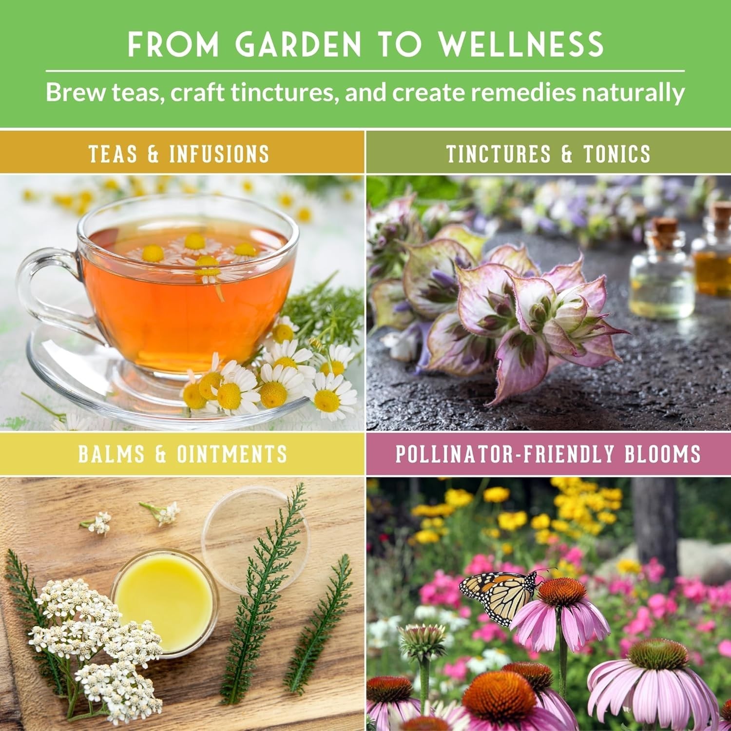 All-in-One Medicinal Herb Seed Kit – 36 Non-GMO Varieties for Natural Remedies