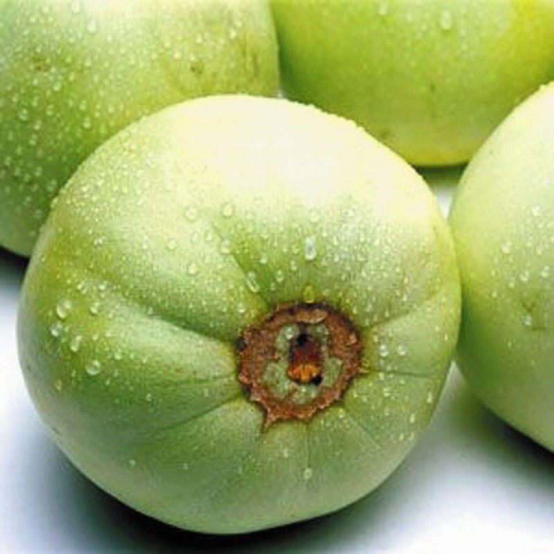 30+ Honey Sweet Melon Seeds/蜜宝香瓜/ 2023年最新！