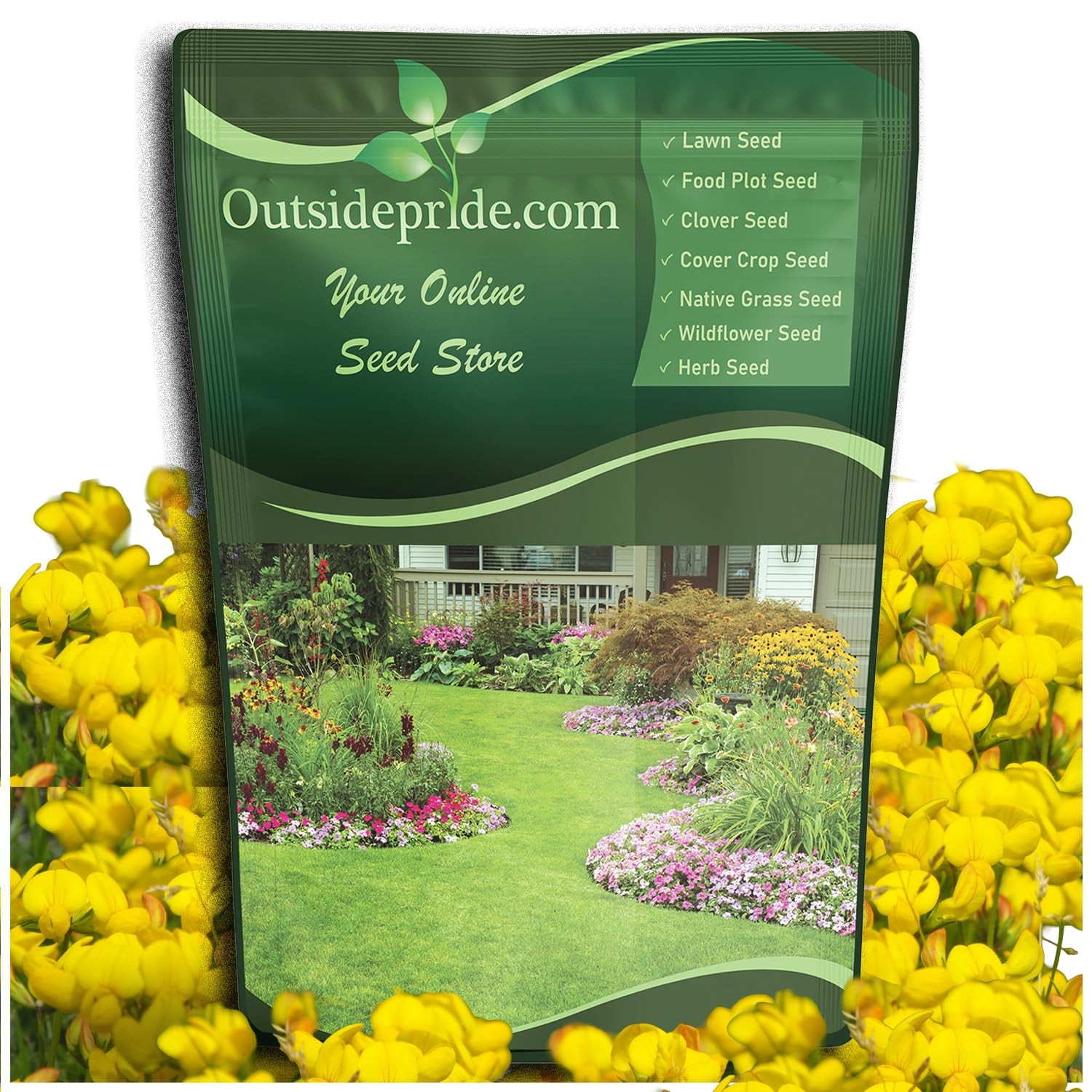 Perennial Birdsfoot Trefoil Seed – 10 lbs Nitrocoated, Inoculated, Winter Har…