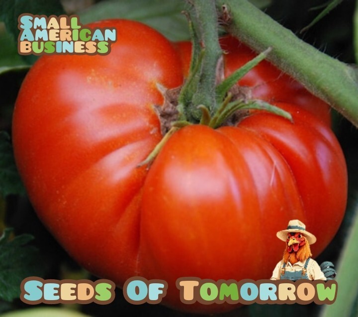 45 Organic Non-GMO Giant Delicious Tomato Seeds. WORLD RECORD HOLDER 7+ POUNDS!