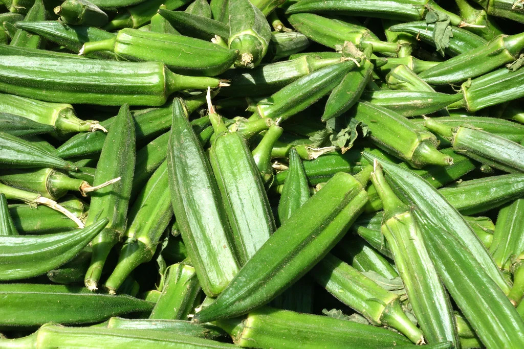 100+ Okra seeds Clemson Spineless Okra Super healthy vegetable USA #61