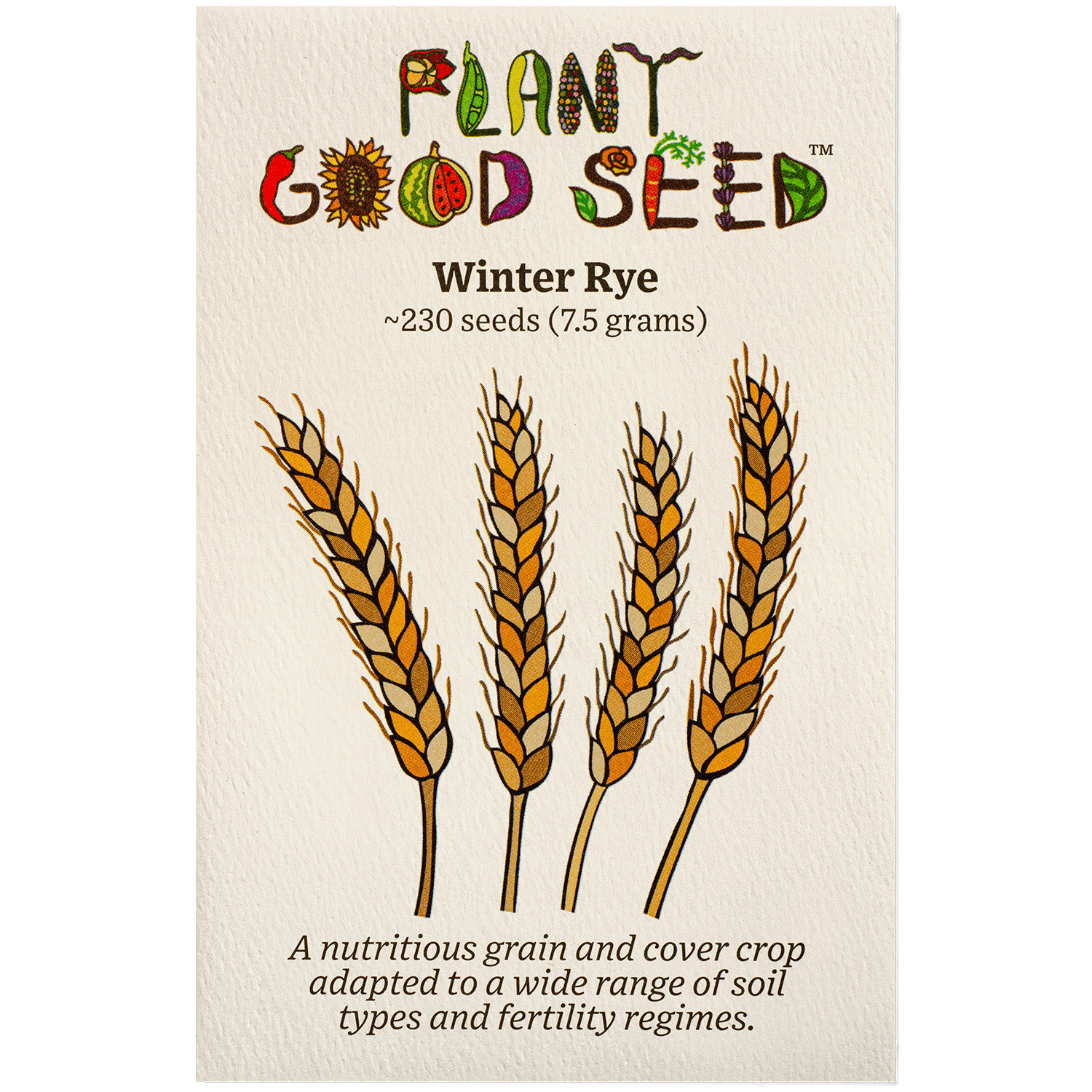 Winter Rye Seeds