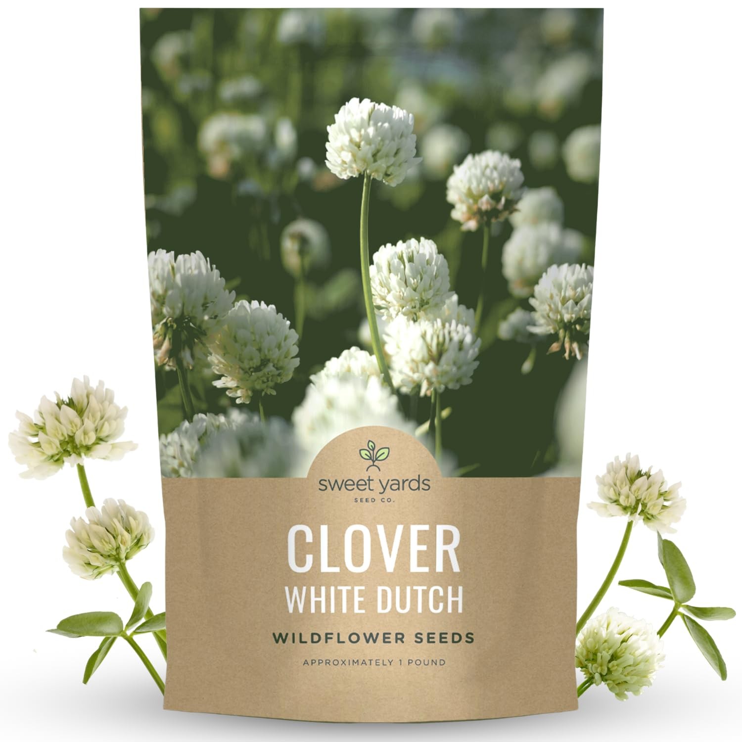 Bulk 1 Pound White Dutch Clover Seeds 600,000 Flowers for Planting