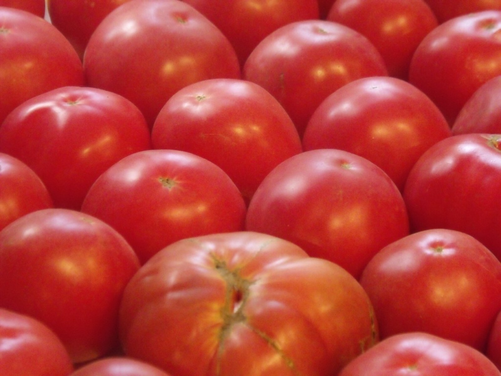 German Johnson Tomato Seeds- Heirloom- 75+ 2021 Seeds Old Amish Variety