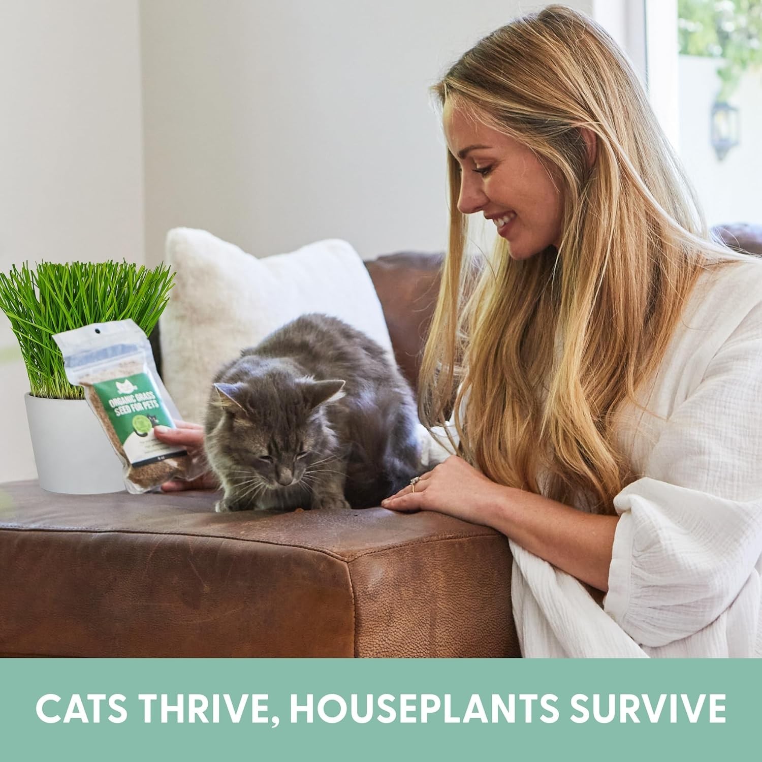 16 oz Organic Cat Grass Seeds – Pet-Friendly Wheatgrass Blend for Indoor Cats