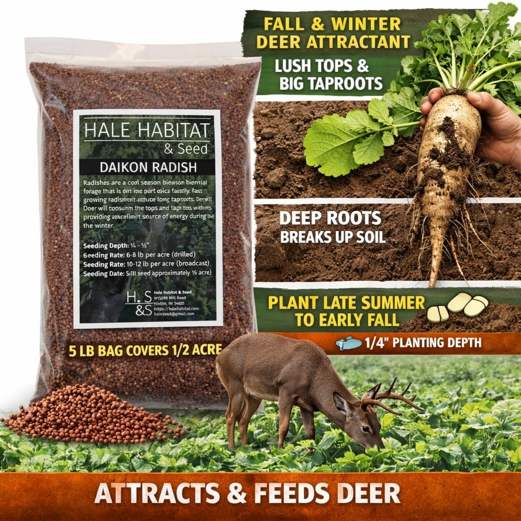 Hale Habitat & Seed Daikon Radish Food Plot Seed, 5 lbs 5 lb, Green