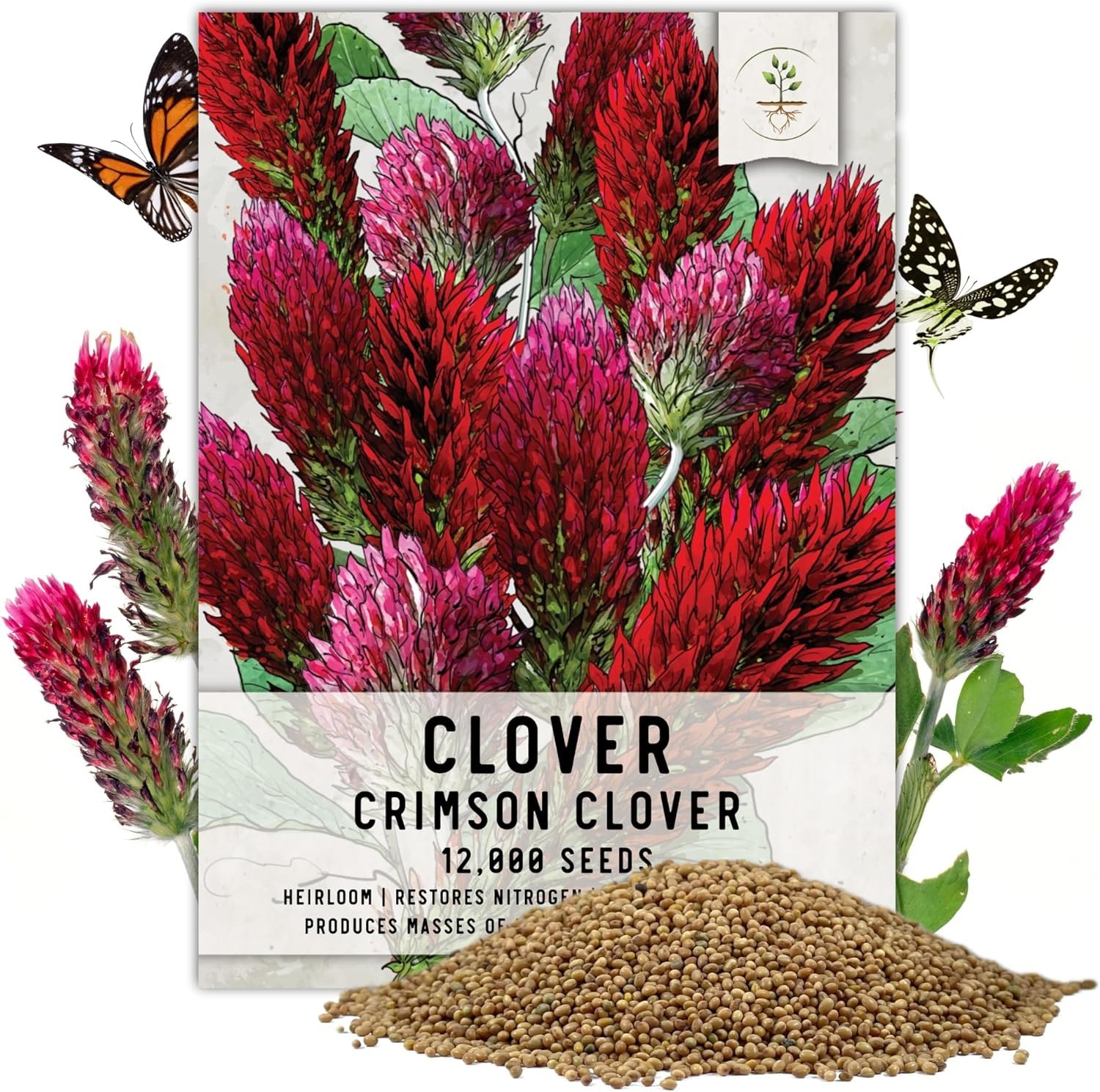 Clover Seeds Crimson Clover Ground Cover 12,000+ Seeds Trifolium Incarnatum