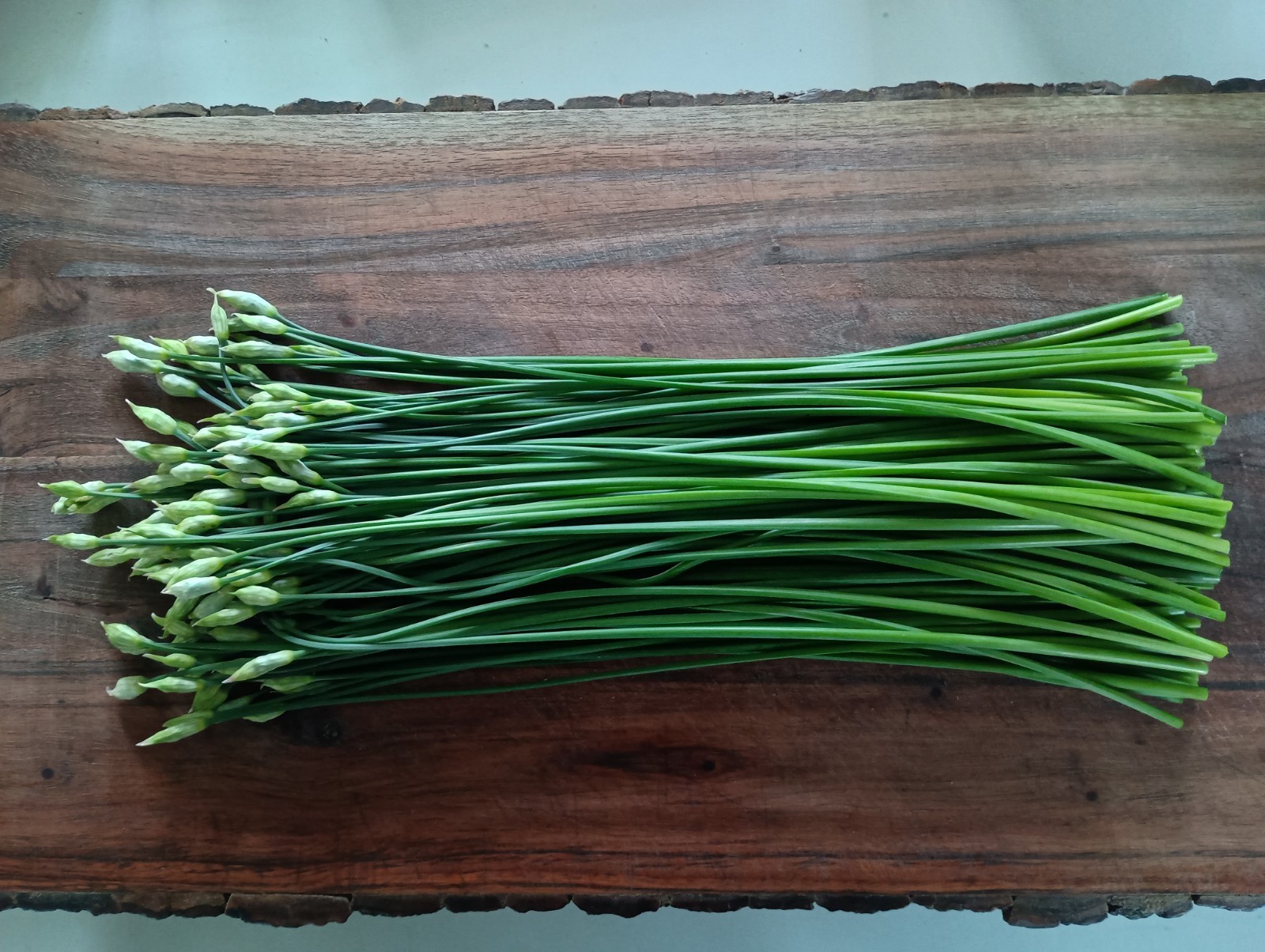 ON SALE 150+ Garlic Chive, Chinese Leek SEEDS, 韭菜种子