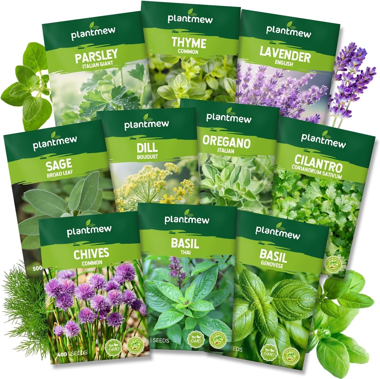 10 Herb Seeds Variety Pack – 7,000+ Heirloom Seeds – Basil, Cilantro, Lavender,