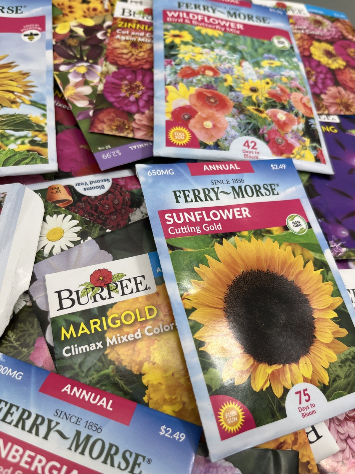 Flowers &Vegetable Plant Seeds (Assorted Lot of 100) sell by 11/26 Garden