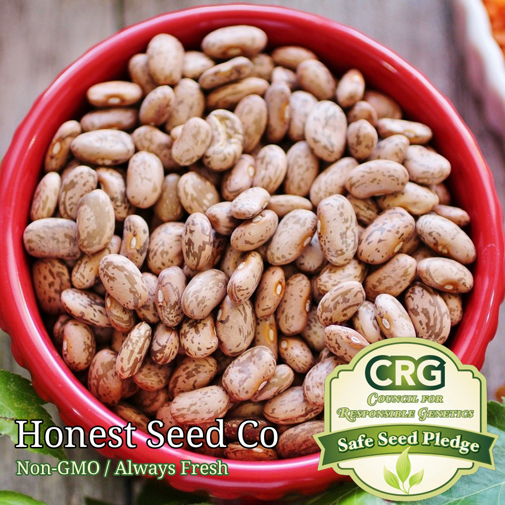 Heirloom Bean Seeds | Non-GMO – Choose from several bean varieties BULK