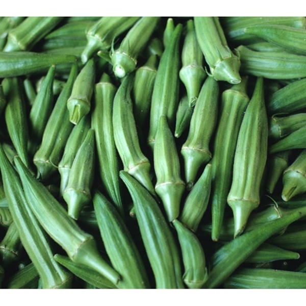 Okra Seed: Clemson Spineless Okra Seed Fresh Seed FREE Shipping