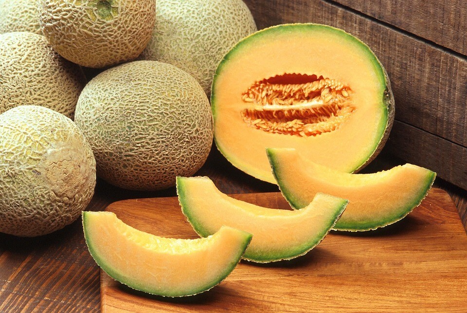 Organic Cantaloupe seed, Sweet Melon, Heirloom, FRESH stock