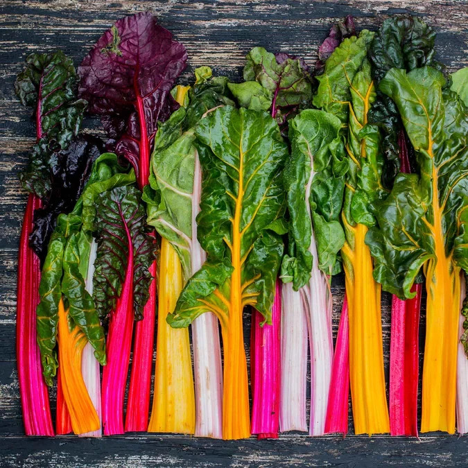 40+ SWISS CHARD SEEDS MIXED COLORS Non GMO Heirloom