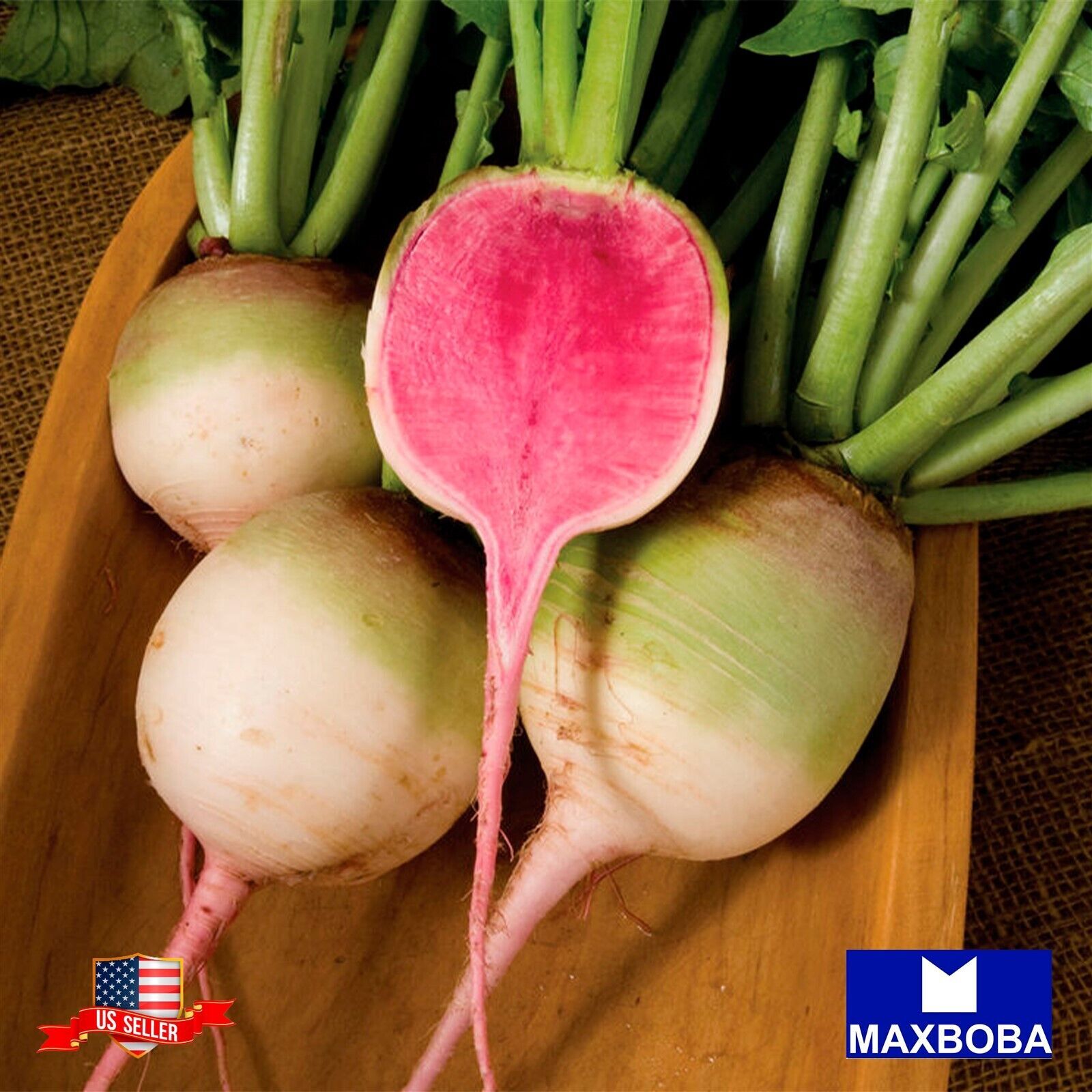 Radish Seeds – Watermelon Raphanus sativus Non-GMO Heirloom Vegetable Garden