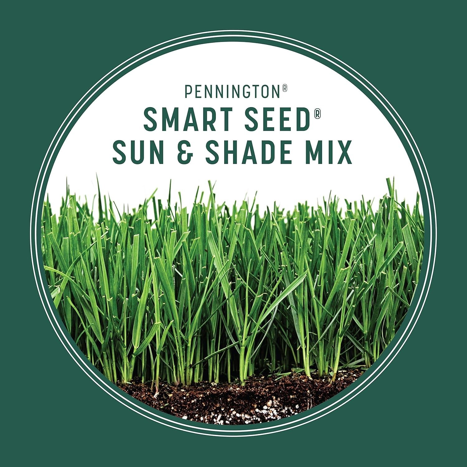 Semillas de césped festuca alta para sol y sombra Pennington Smart Seed
