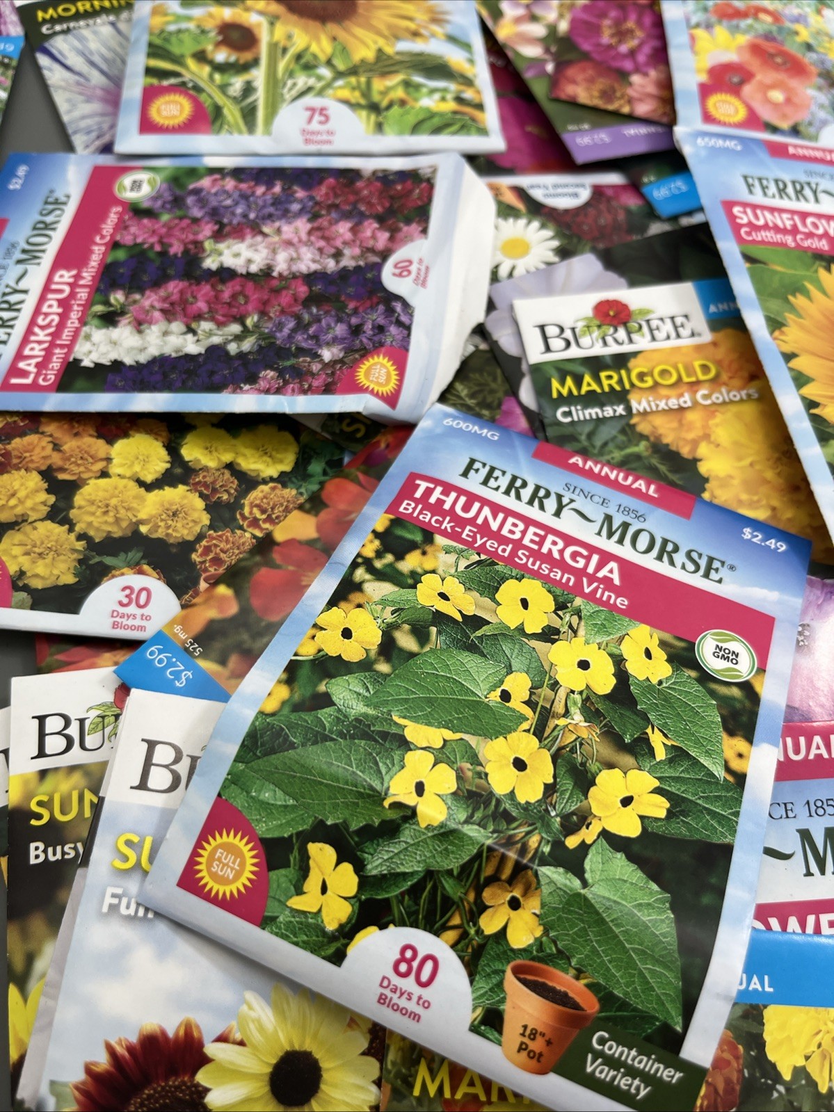 Flowers &Vegetable Plant Seeds (Assorted Lot of 100) sell by 11/26 Garden