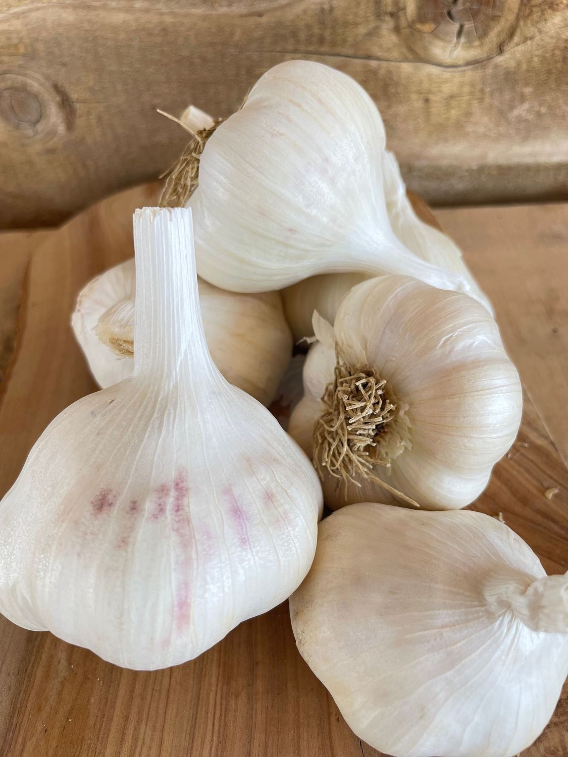 USDA Organic Romanian Red Garlic Bulbs | Spicy Gourmet Garlic | California Grown