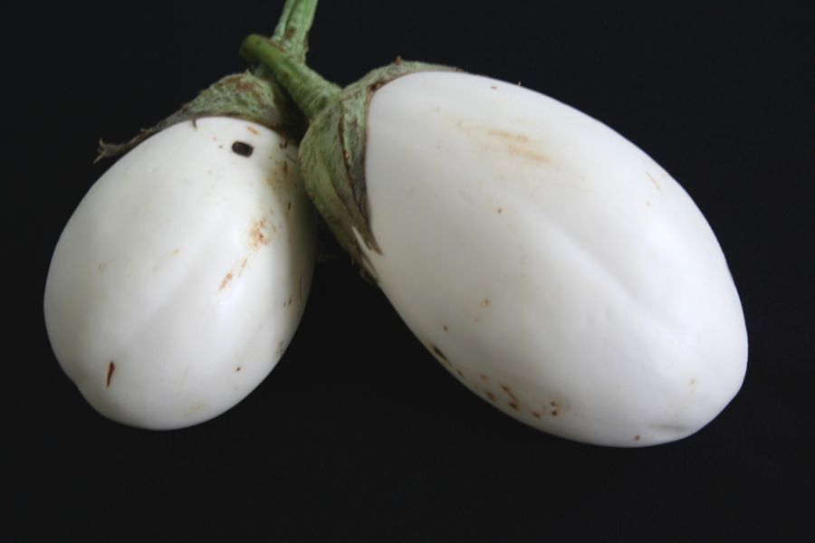 wonder eggs, AMAZING WONDER EGG, 25 seeds! GroCo*