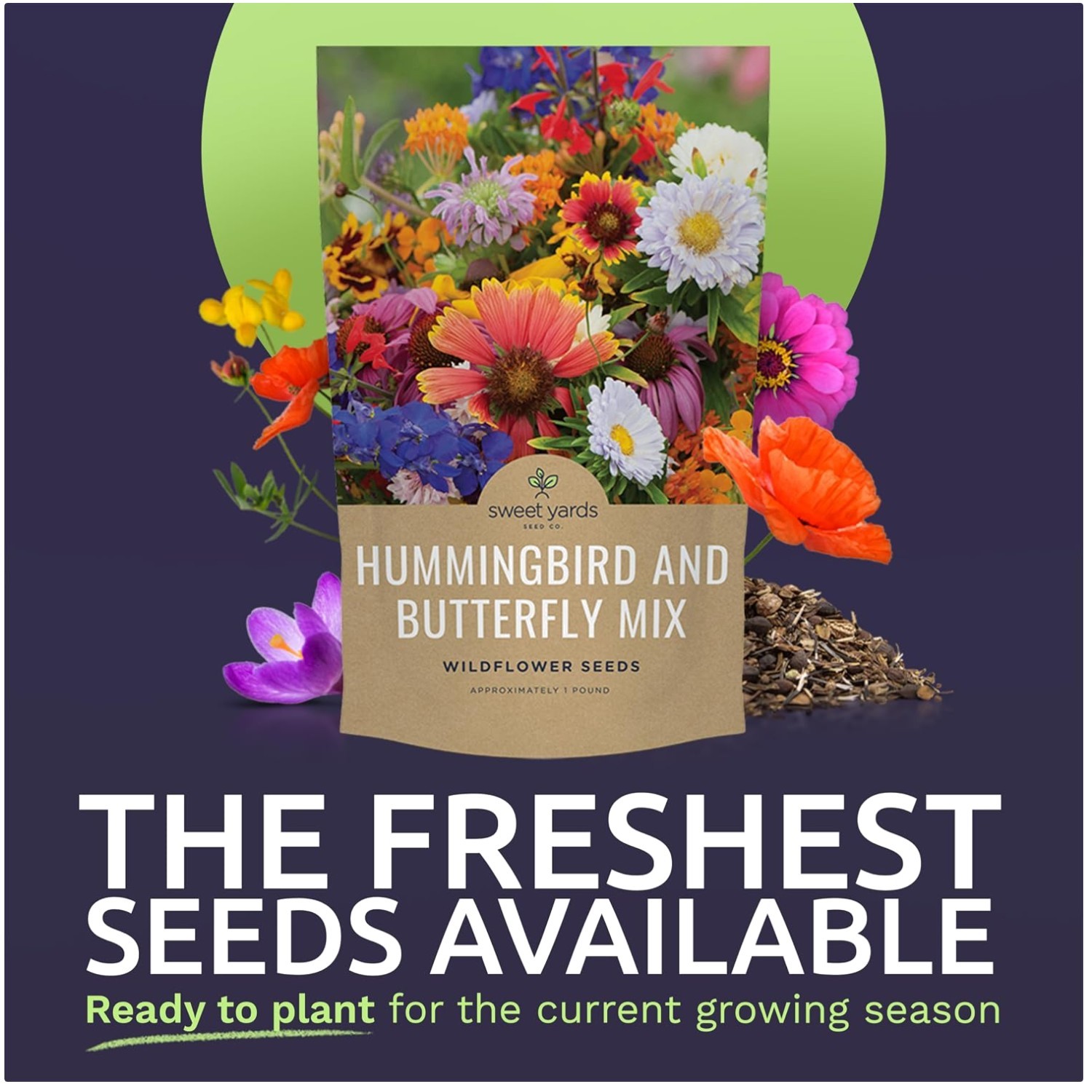 Hummingbird & Butterfly Wildflower Seeds – 23 Flower Species