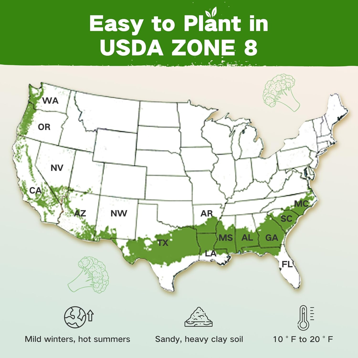 USDA Zone 8 Heirloom Seed Bank, 30,000+ Non-Gmo 32 Varieties of Heirloom Seeds f